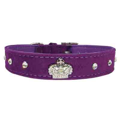 Small dog and puppy collar velvet