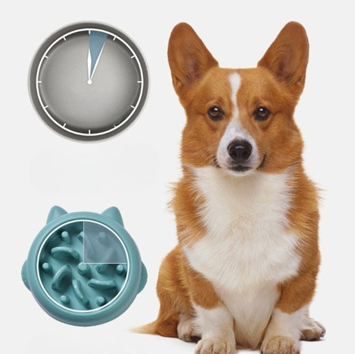 Slow Feeder