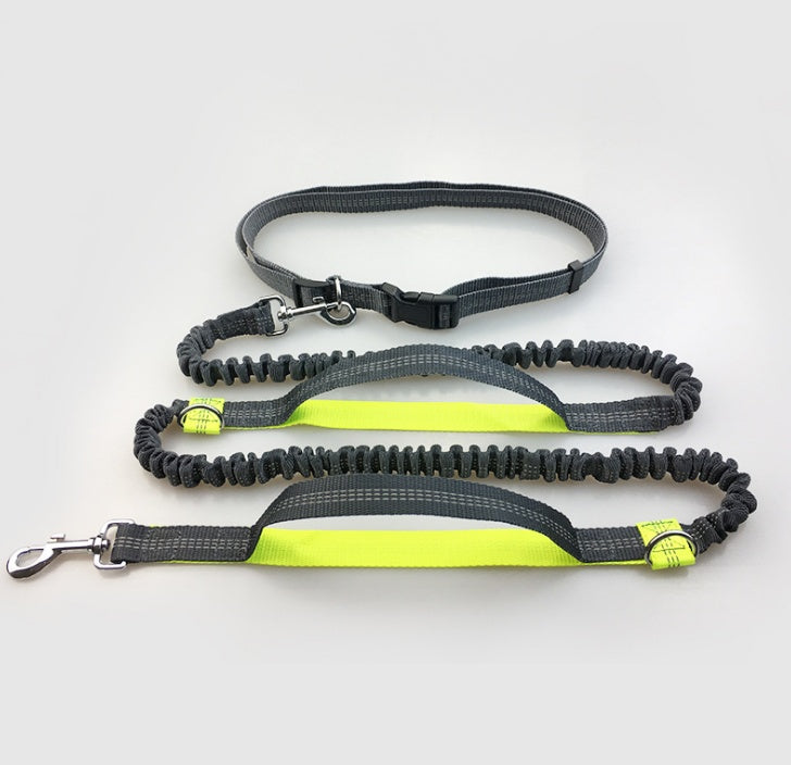 No Hands Bungie Leash