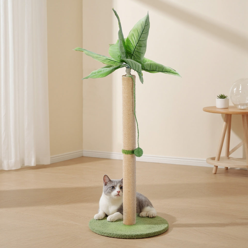 palm tree scratch post