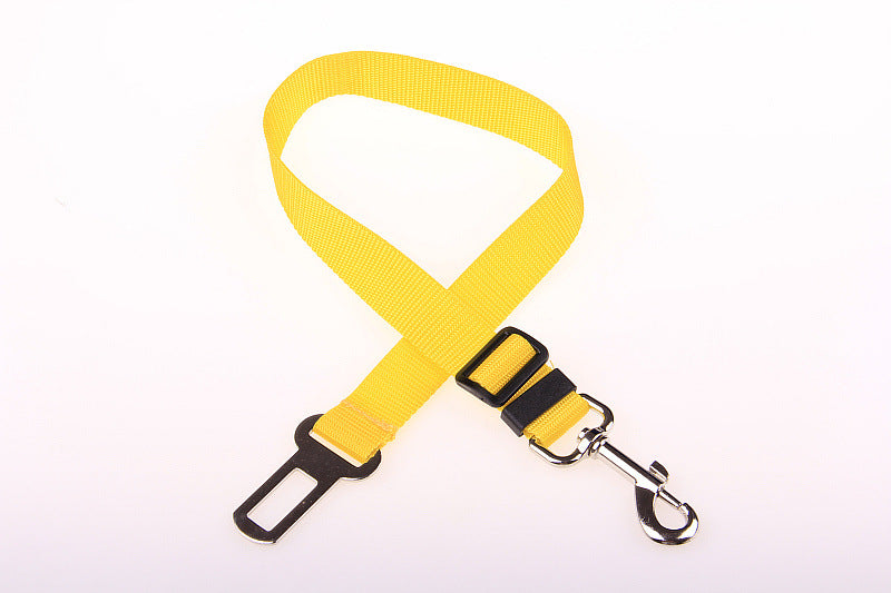 Dog Seat Belts
