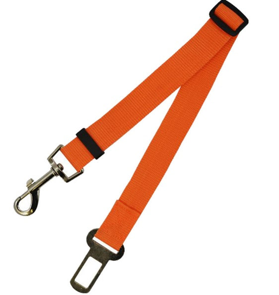 Dog Seat Belts