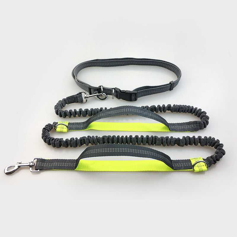 No Hands Bungie Leash