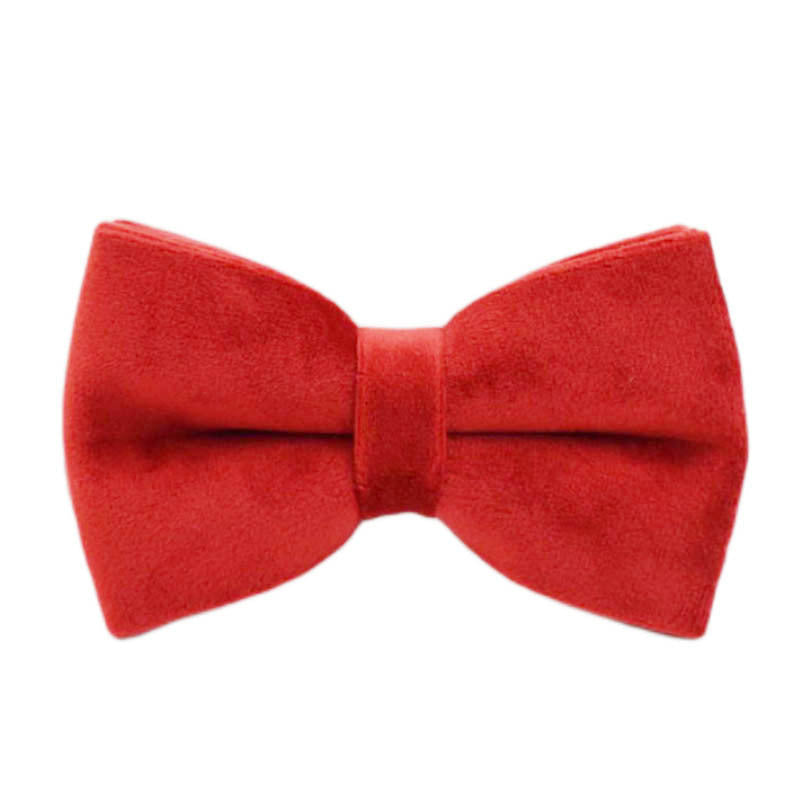 Red velvet Collar and Harness set