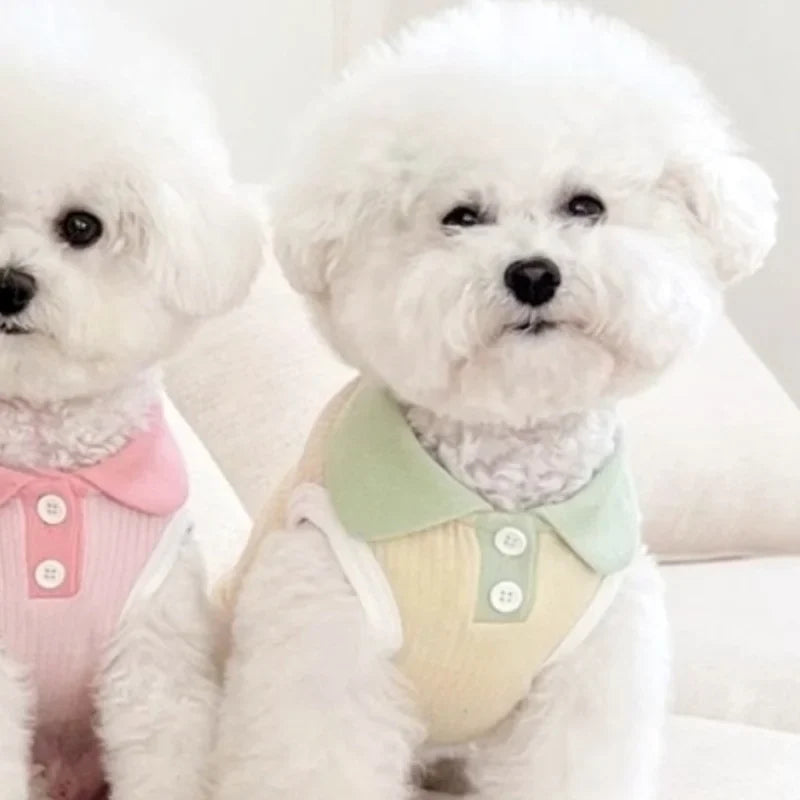 Summer Dog Polo Shirt for Small Dogs