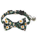 spring time collar