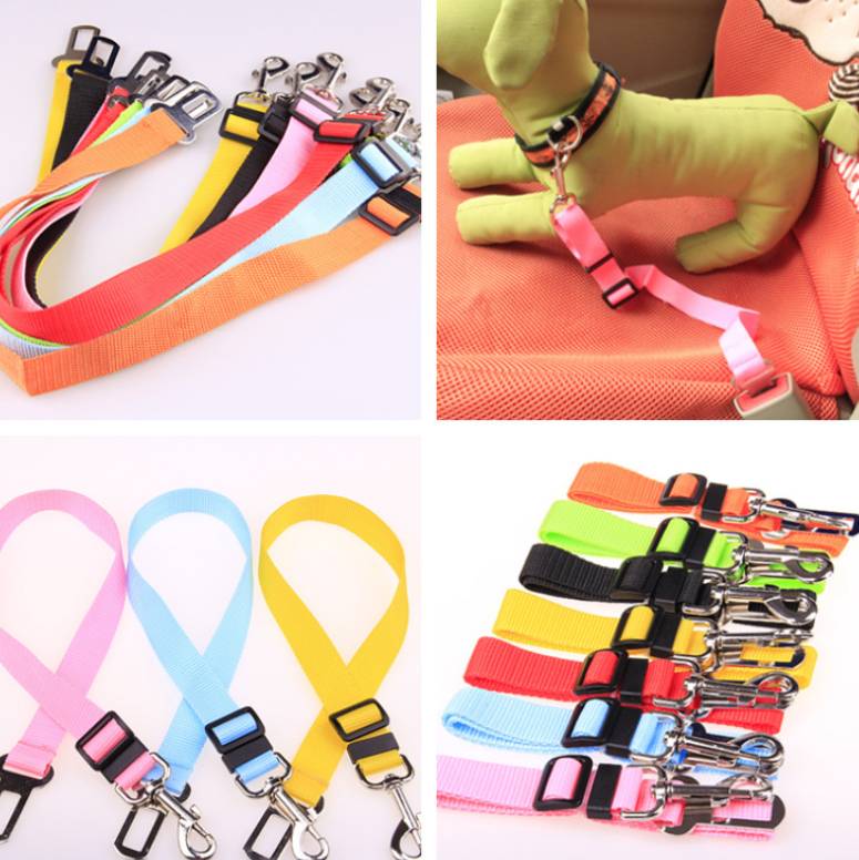 Dog Seat Belts