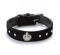 Small dog and puppy collar velvet
