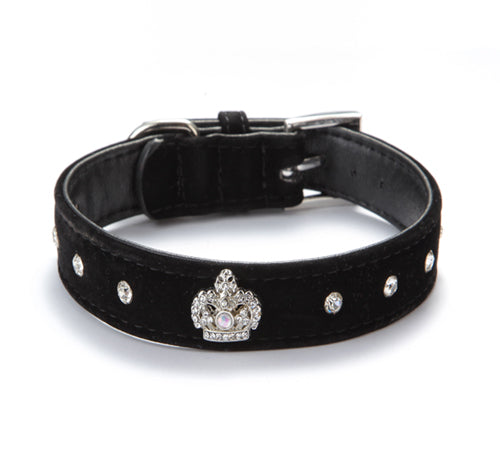 Small dog and puppy collar velvet