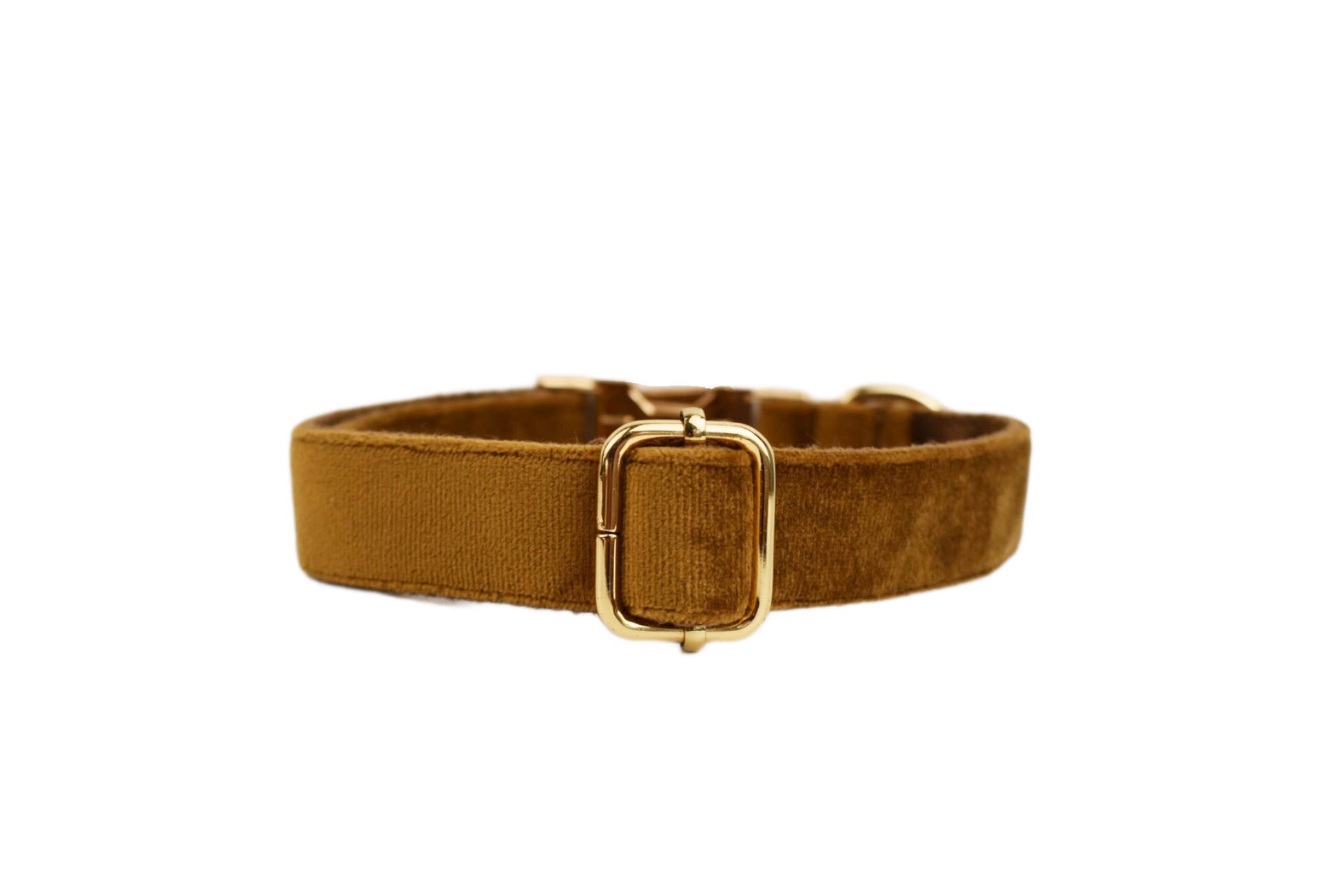 Velvet Dog Collar and Harness set