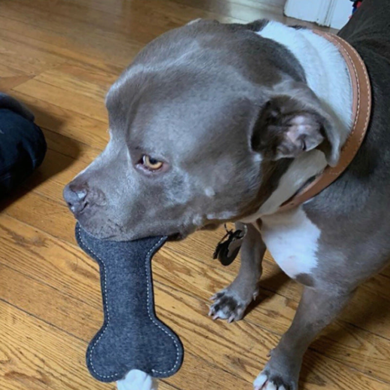 Bone shaped chew dental toy