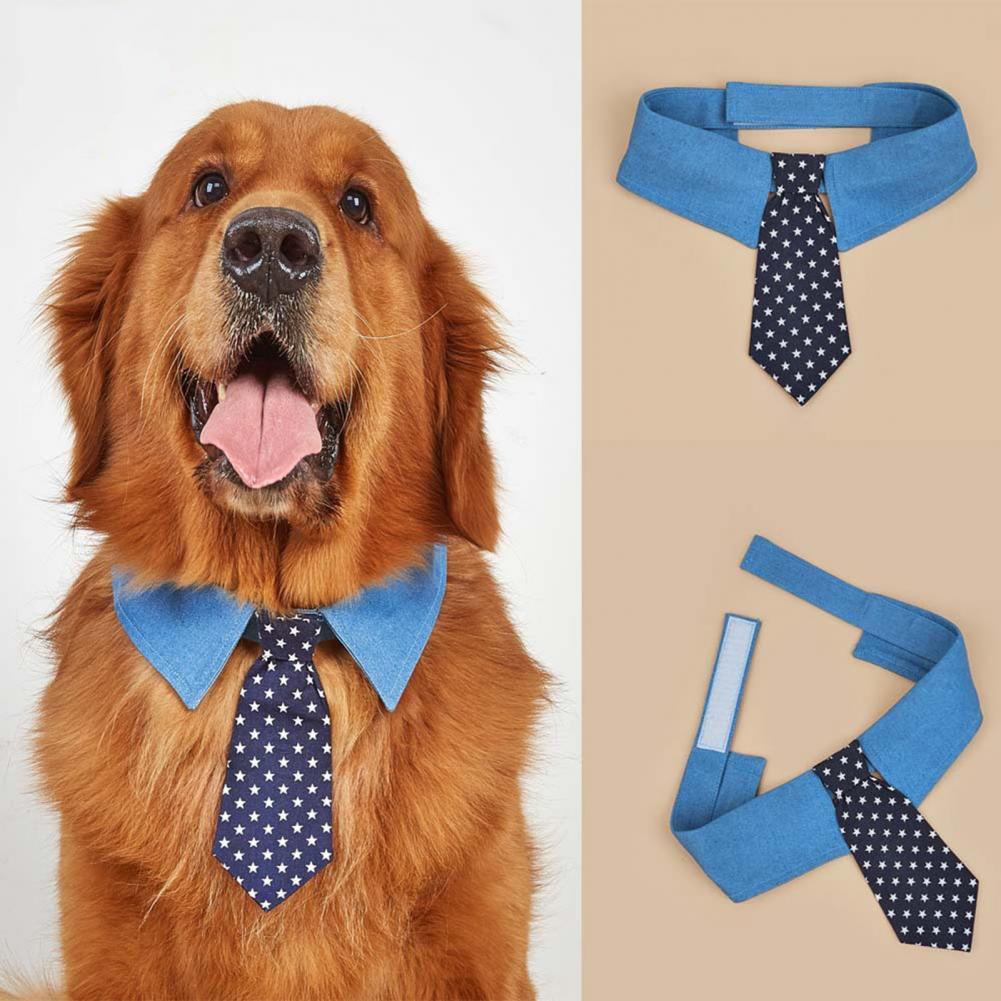 Pet tie