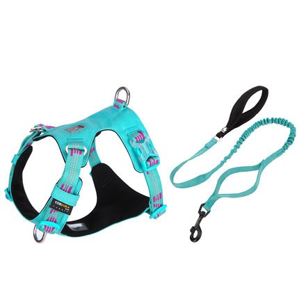 Large Dog Anti-pull Harness and bungie leash.
