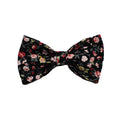 Velvet floral dog collar and harness