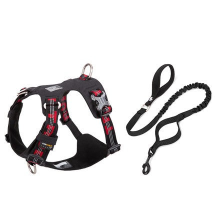 Large Dog Anti-pull Harness and bungie leash.