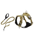 Large Dog Anti-pull Harness and bungie leash.