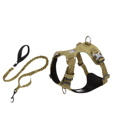 Large Dog Anti-pull Harness and bungie leash.
